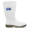 Chemguard Blundstone Boots